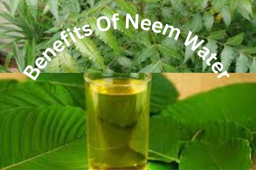 Neem Water on an Empty Stomach