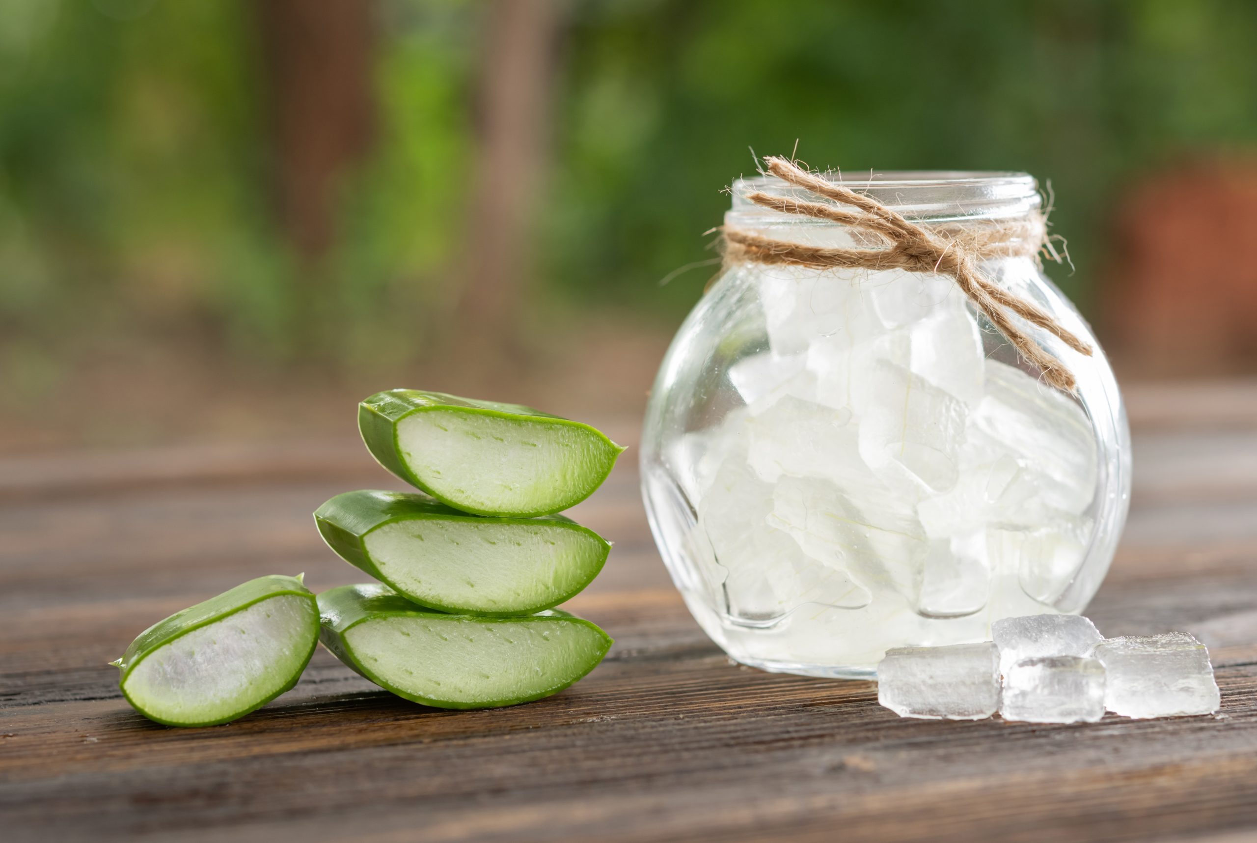 Frozen aloe vera ice cubes ready for skincare use