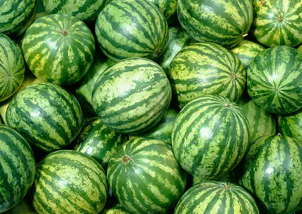 Pick a watermelon